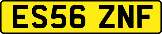 ES56ZNF