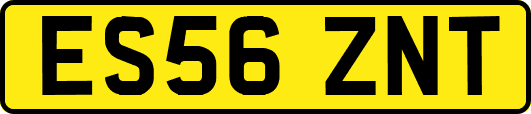 ES56ZNT