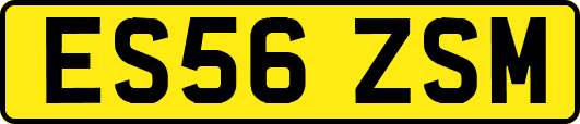 ES56ZSM