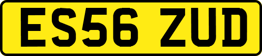 ES56ZUD