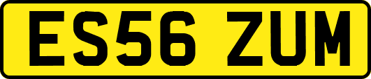 ES56ZUM