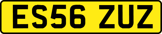 ES56ZUZ