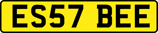 ES57BEE