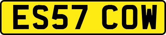 ES57COW