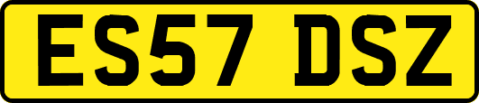 ES57DSZ