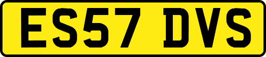 ES57DVS