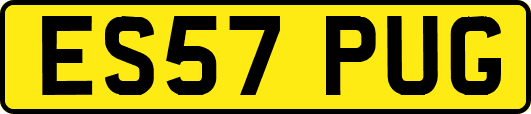 ES57PUG