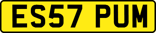 ES57PUM