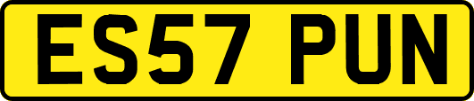 ES57PUN