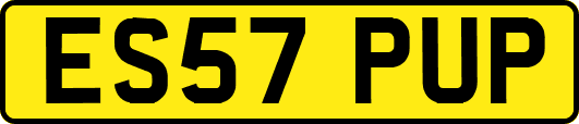 ES57PUP