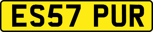 ES57PUR