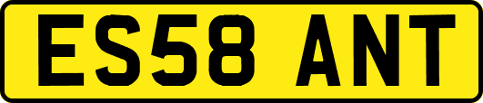 ES58ANT
