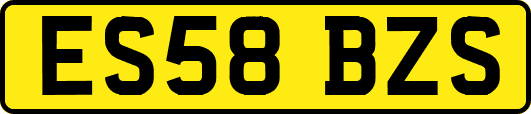 ES58BZS