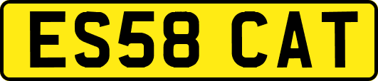 ES58CAT