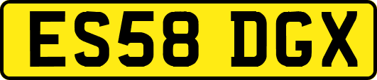 ES58DGX