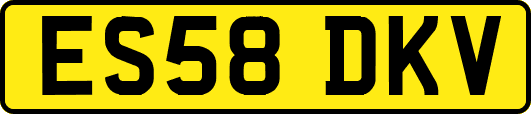 ES58DKV