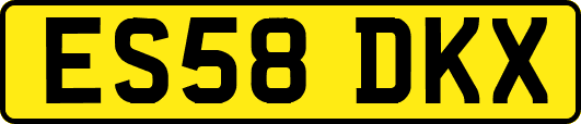 ES58DKX