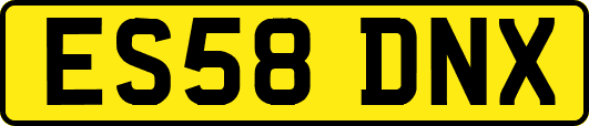 ES58DNX