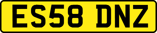 ES58DNZ