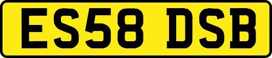 ES58DSB
