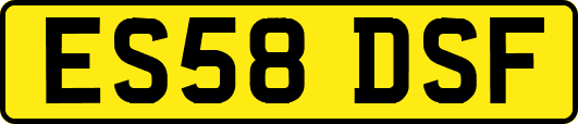 ES58DSF
