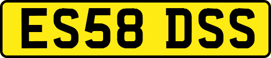 ES58DSS