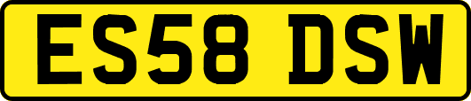ES58DSW