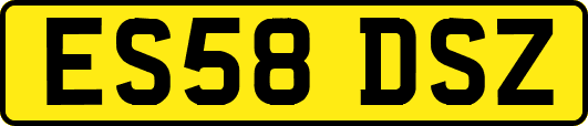 ES58DSZ