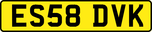 ES58DVK