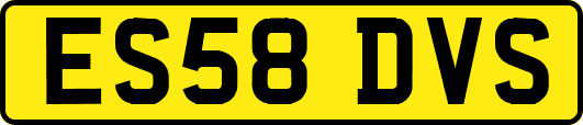 ES58DVS