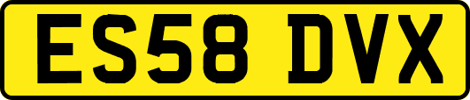 ES58DVX