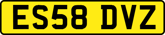 ES58DVZ