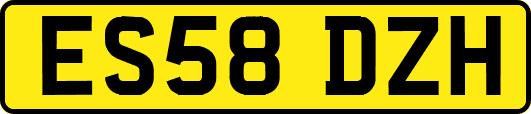 ES58DZH