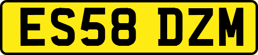 ES58DZM