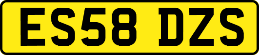 ES58DZS
