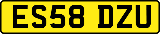ES58DZU
