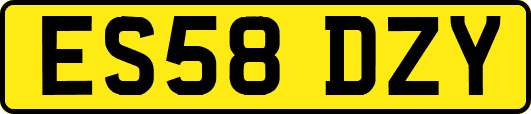ES58DZY
