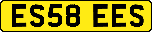 ES58EES