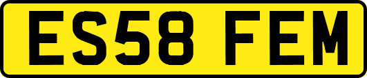 ES58FEM