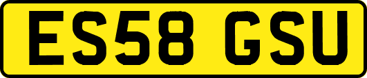 ES58GSU
