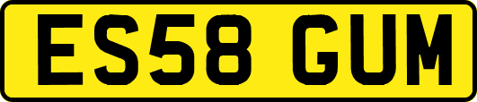 ES58GUM