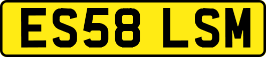ES58LSM