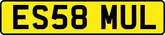 ES58MUL