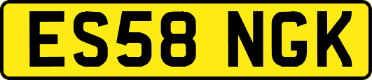 ES58NGK
