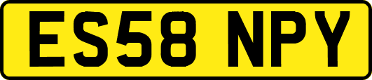 ES58NPY