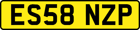 ES58NZP