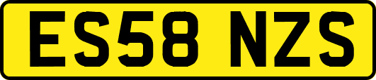ES58NZS