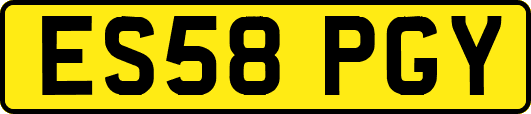 ES58PGY