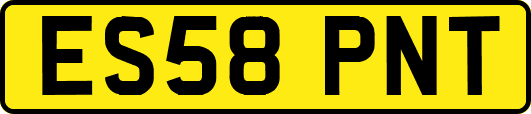 ES58PNT
