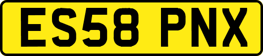 ES58PNX